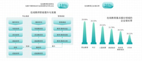 太和顾问 教育内卷 下,在线教育疯狂扩张