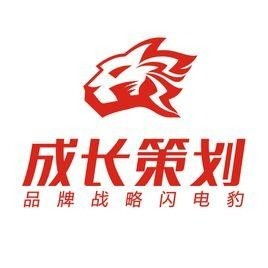 深圳成长品牌营销顾问公司