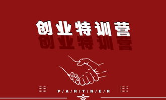 创业的成功就是金字塔顶上的那块尖石,基石在哪里