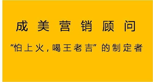 成美营销顾问