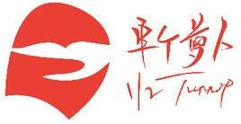 半个萝卜 北京 营销顾问